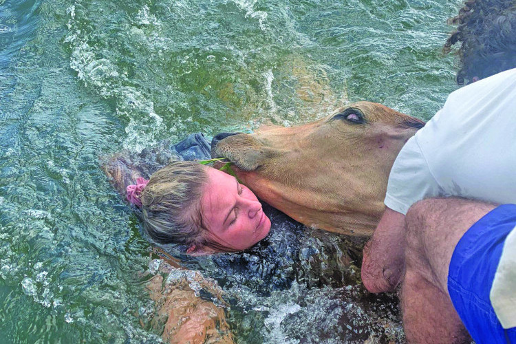 Paul Harris and Ashley Lucas (pictured) helped a cow back to shore after it was found swimming in the middle of Lake Tinaroo. (Picture Supplied).