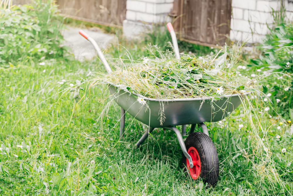 Free green waste disposal starts this weekend