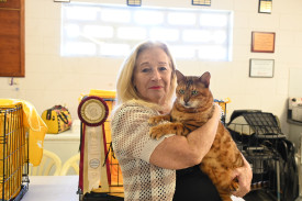 Vivienne Kennett president of the Cairns Cat Club and Savannah the bengal at the Cairns Show’s cat show.