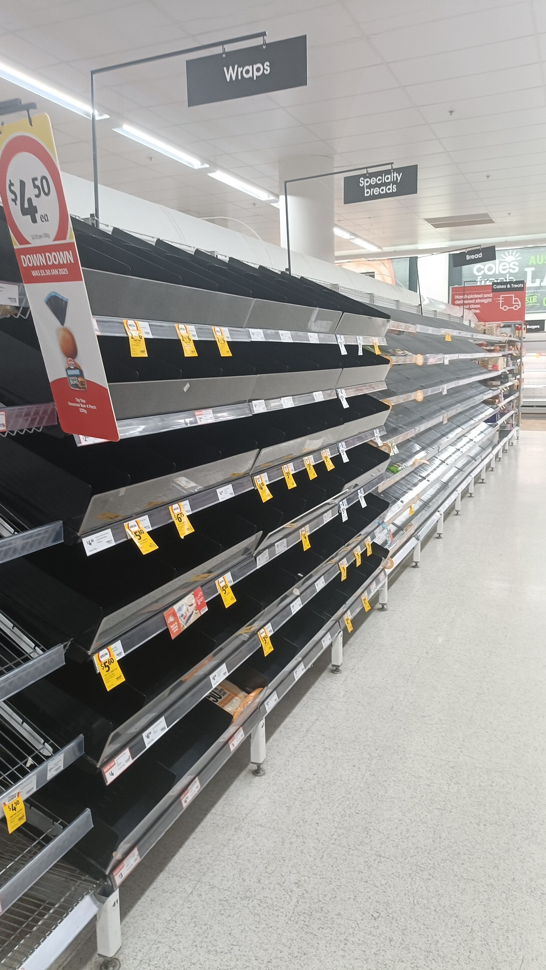 Empty shelves at Coles supermarket at Earlville Shopping Town this week. Picture: Isabella Guzman Gonzalez