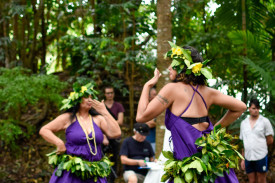 Cook Island traditional dancers, image supplied by Diversicare