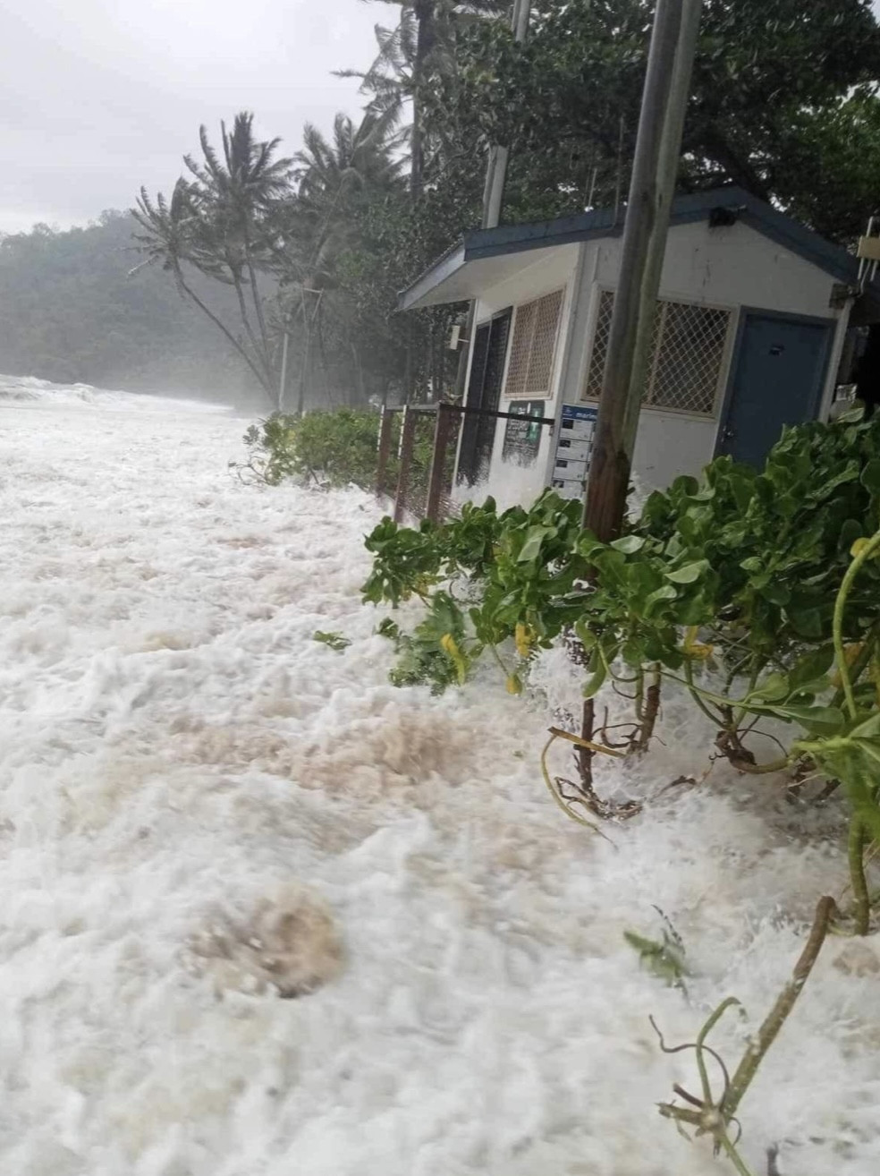 ‘Trinity Beach’ Picture Cairns Northern Beaches Community Group FB page - Natasha Thatcher