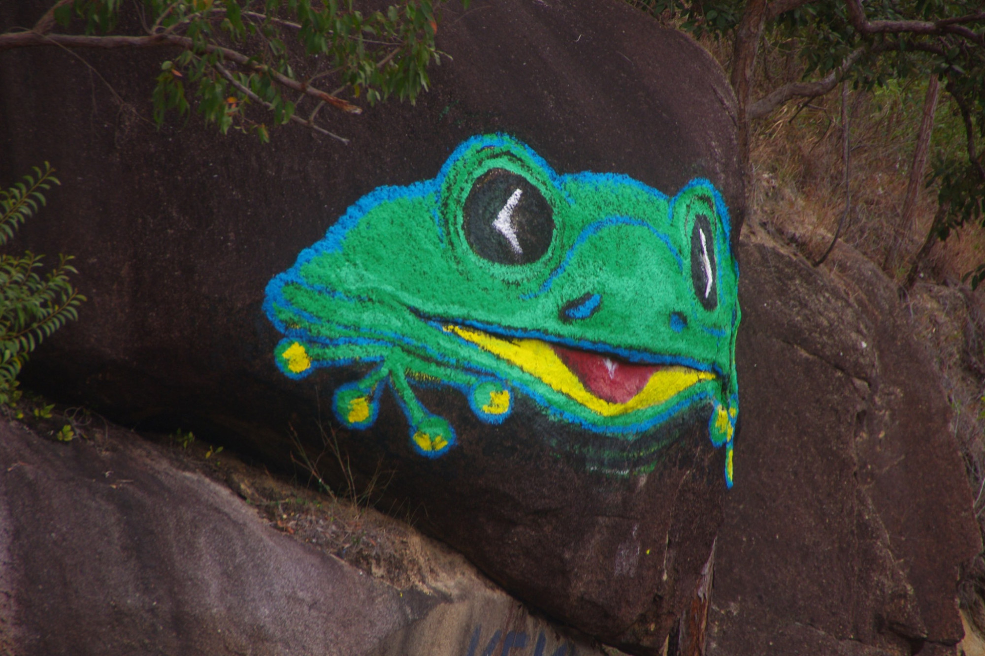 Gillies range frog art mystery - feature photo