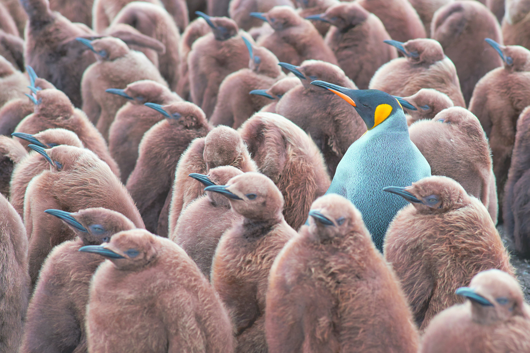 Job Hunting - Stand out from the crowd - feature photo