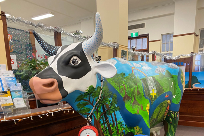 Innisfail State College Unveils Archibull Prize Entry - feature photo