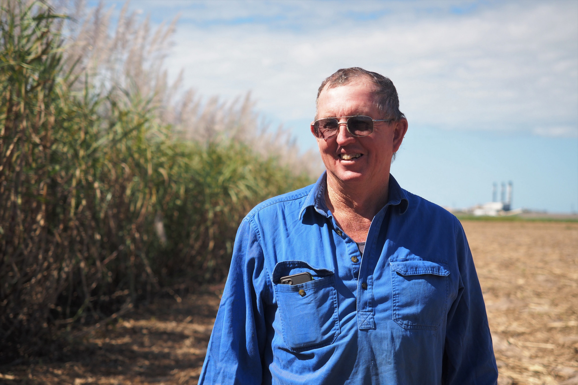 New soil health group forms in the Wet Tropics - feature photo