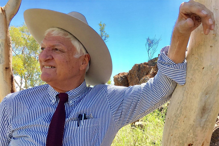 Bob Katter has call for the immediate removal of all crocodiles from populated areas in Queensland