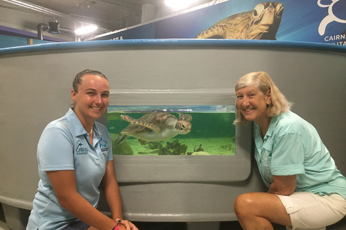 Even Turtles go into rehab - feature photo