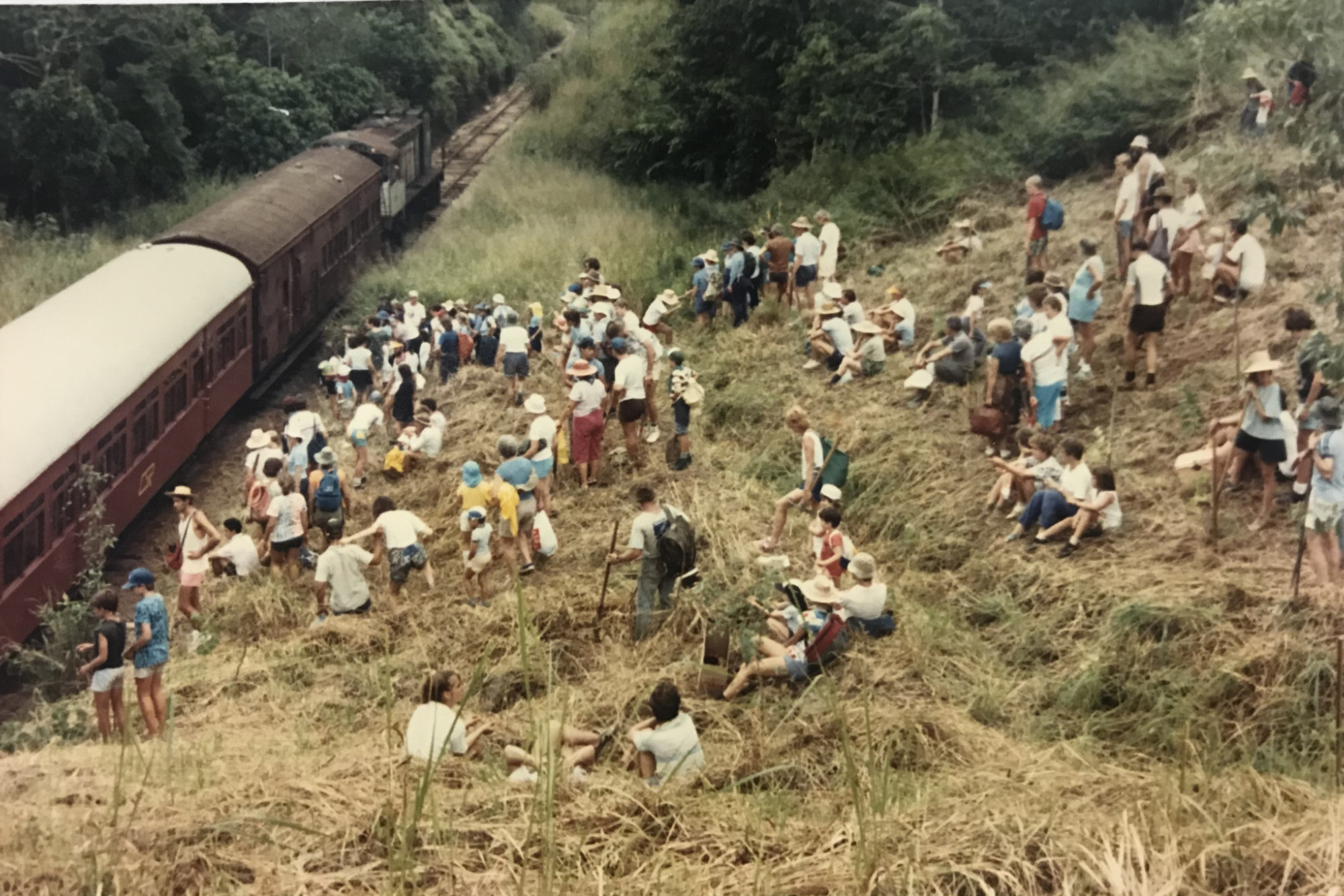 The first Treeforce event, held in 1991, was the Tree Train, which transported members of the community to plant a strip of rainforest species above the Cairns to Kuranda railway line in Redlynch.