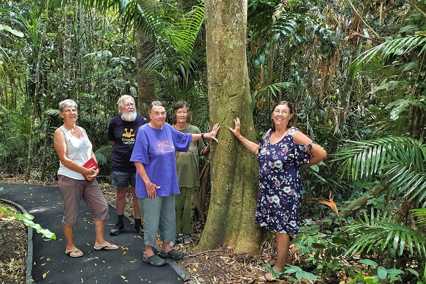Landholders seek out voluntary declarations to better protect rainforest land - feature photo