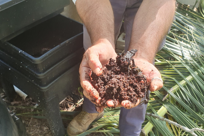 International Compost Awareness Week Australia - feature photo