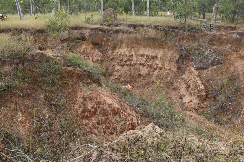 An eroded gully in the Herbert River catchment that will be repaired as part of the new Upper Herbert Sediment Reduction Project.