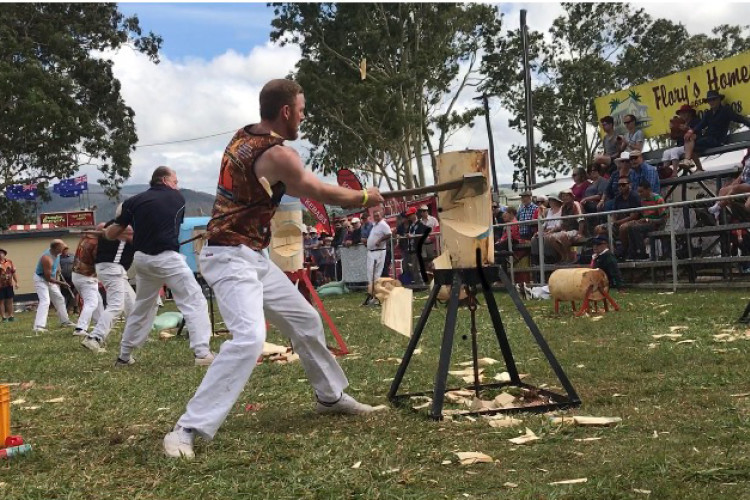 Woodchopping: a crowd pleaser - feature photo