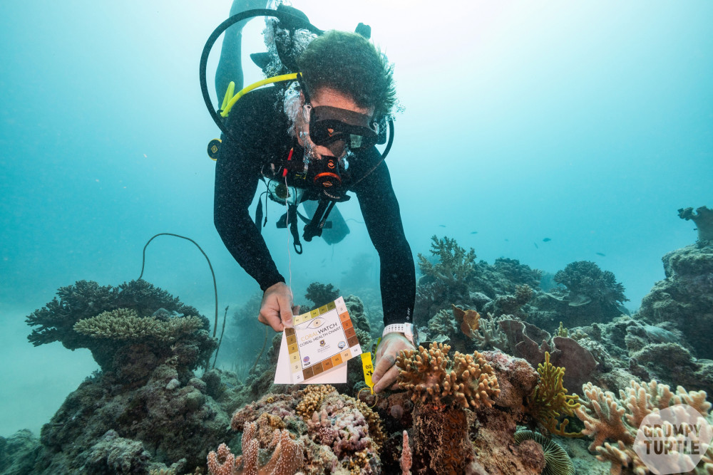 Coral Expeditions leads Citizen Science Expedition on the Great Barrier Reef - feature photo