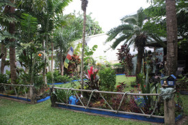 tropical-garden-comp—-tina-haywood—-jason-dunne—-judges-award.jpg