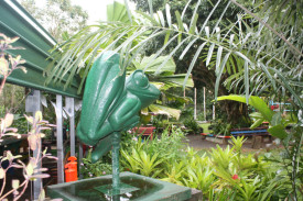 tropical-garden-comp—outdoor-living-area—-johnstone-river-community-gardens.jpg