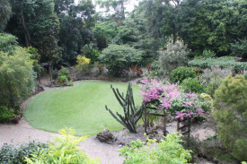 tropical-garden-comp—tourist-accomadation-garden—-licuala-lodge.jpg