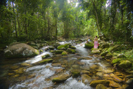 majestic_mountains_rainforest_streams_and_rockpools_-_mg_0599.jpg