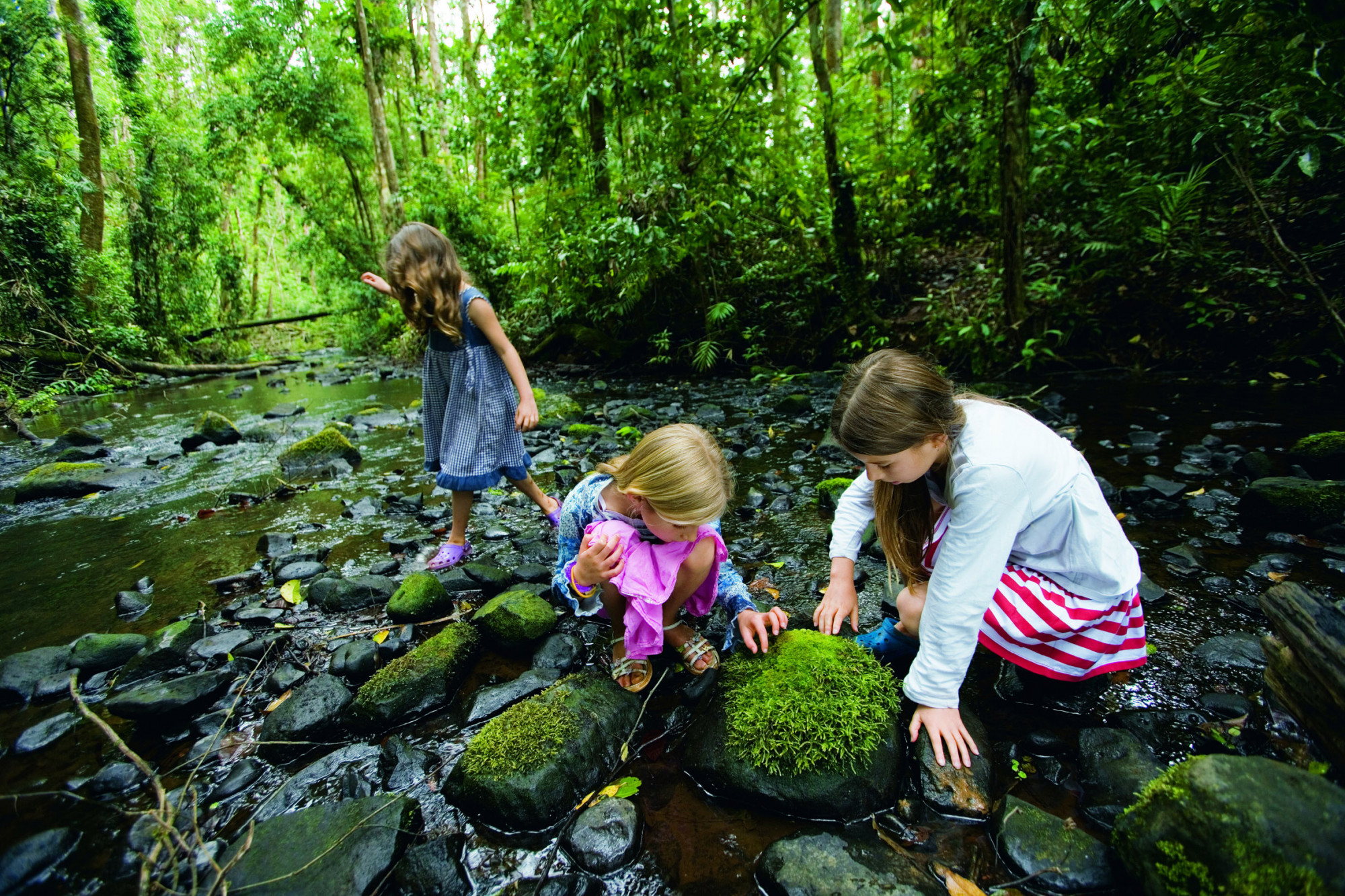 Weekend Getaway - A wonderful world of adventure awaits at the Mossman Gorge - feature photo