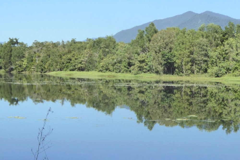 Vollies to thank for wetlands - feature photo