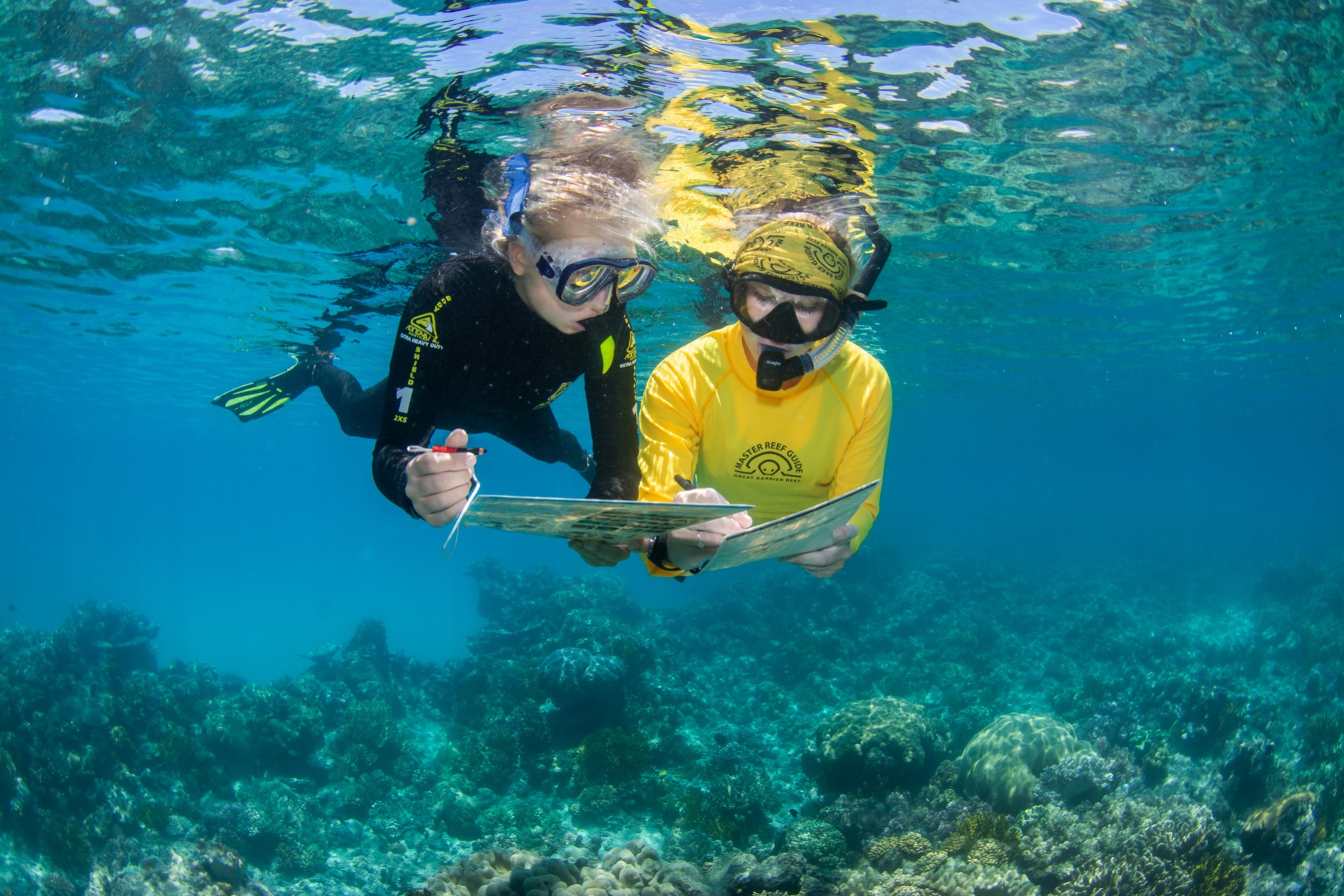 Passions of Paradise eco discovery snorkelling experience gives an insight into marine research, reef restoration and citizen science. Picture: Passions of Paradise