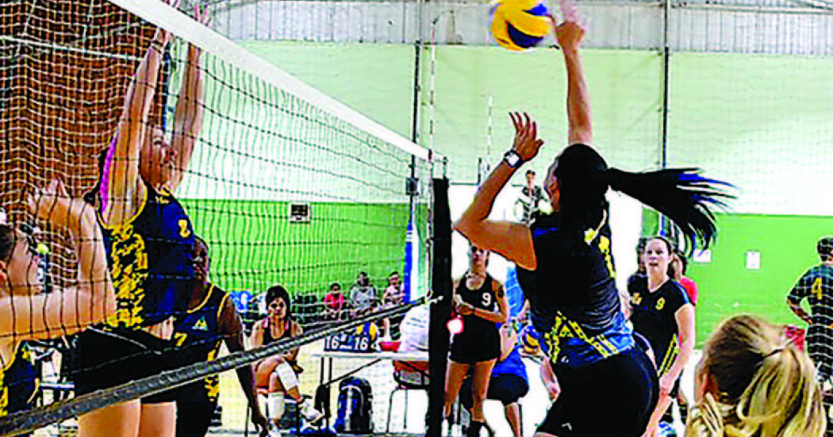 CAIRNS VOLLEYBALL Association’s great comeback for 2022 | Cairns Local ...