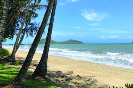Feedback wanted on Palm Cove and its future - feature photo