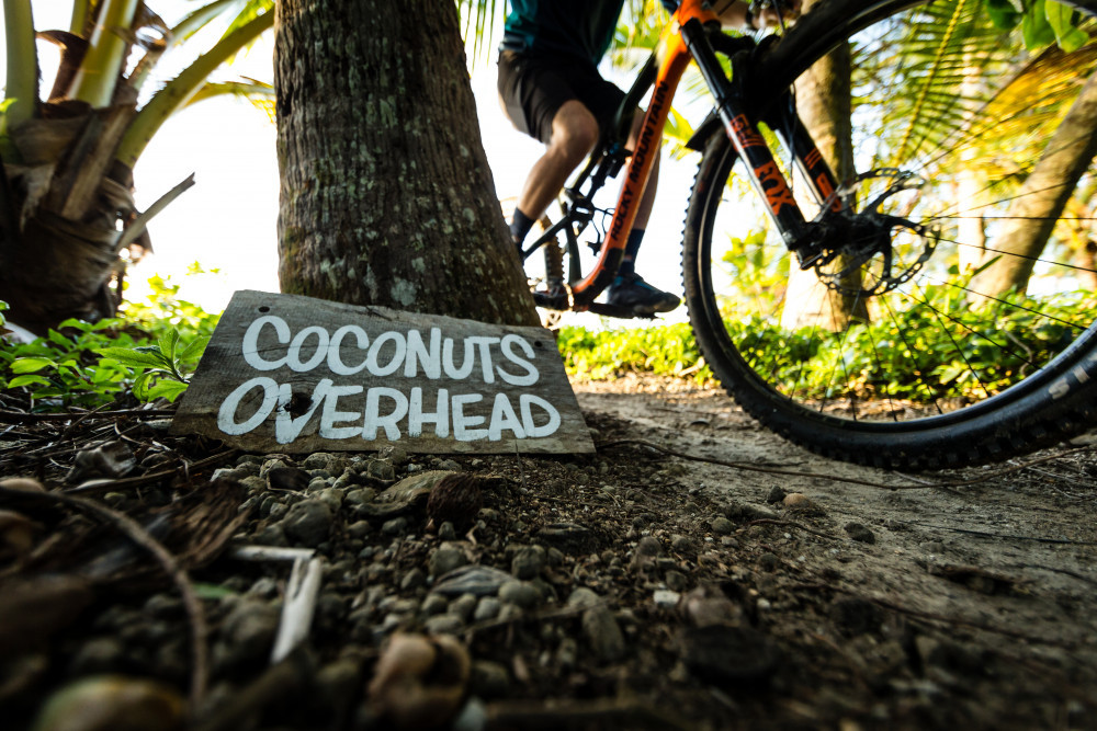 It’s coconut de-nutting time on the Cassowary Coast - feature photo