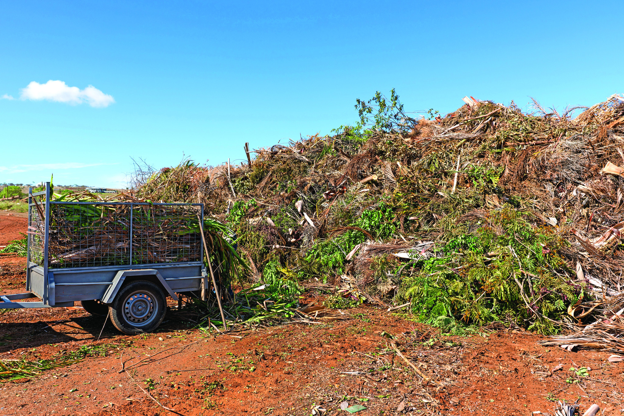 Time to clean up the garden Cairns Local News Free to read No subscriptions Local News