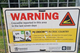 Signs have just gone up near a drain feeding Saltwater Creek behind Piccone’s shopping centre at Manoora warning about a crocodile. Photo credit: Nick Dalton