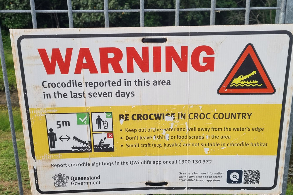 Signs have just gone up near a drain feeding Saltwater Creek behind Piccone's shopping centre at Manoora warning about a crocodile. Photo credit: Nick Dalton