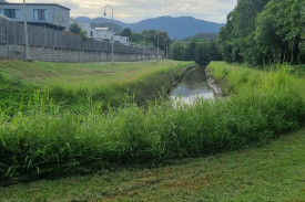 Signs have just gone up near a drain feeding Saltwater Creek behind Piccone’s shopping centre at Manoora warning about a crocodile. Photo credit: Nick Dalton