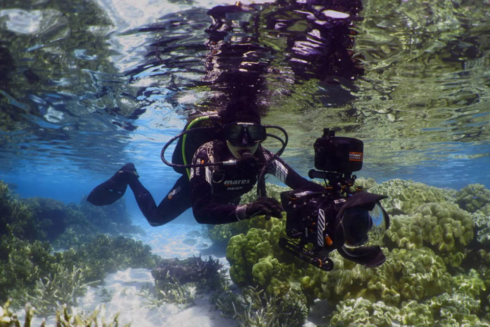 BioQuest Studios have received funding for new underwater cameras from the Queensland Government. Picture: Supplied
