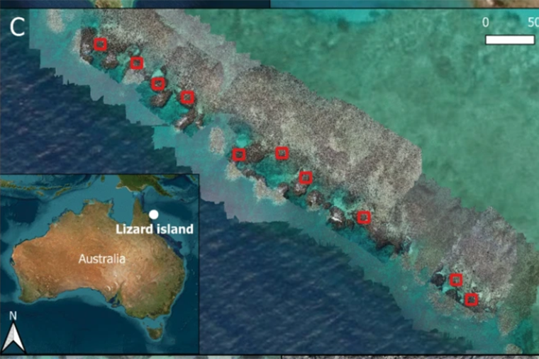 The survey sites where coral bleaching was found off Lizard Island. Picture: Supplied
