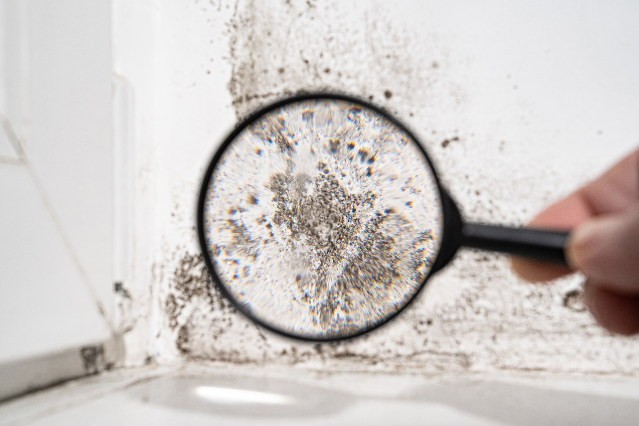 New data suggests Cairns is Queensland’s mouldiest city. Picture: iStock