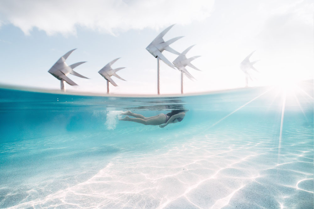 This stunning underwater picture highlights the Esplanade Lagoon’s famous woven fish sculptures. Picture: Tourism Tropical North Queensland