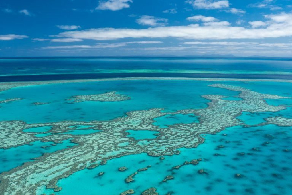 Have your say on the Great Barrier Reef - feature photo