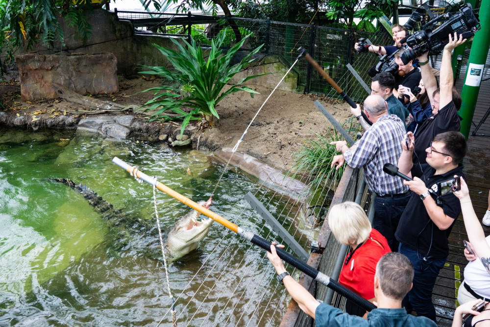 Goliath the croc picks Warren Entsch as the winner of the Federal election at the Cairns ZOOM and Wildlife Dome. Image by The Capta Group