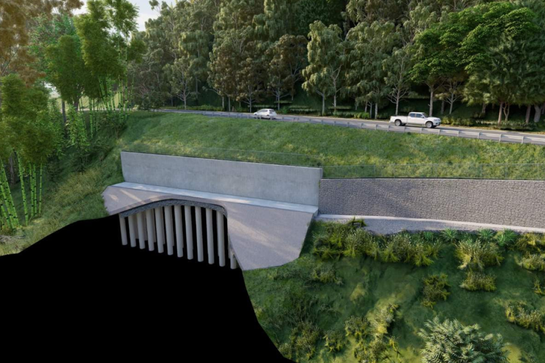 An artist’s impression showing a cross-section of concrete piling, gabion wall and retaining wall required for slope stabilisation on the Mossman-Daintree Road. Picture: TMR