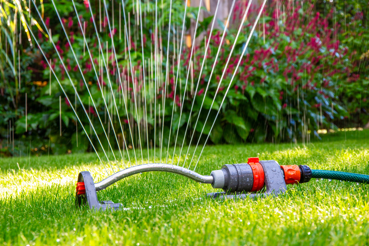 New water restrictions are in place on the Cassowary Coast. Picture: VanderWolf-Images, iStock, Getty Images Plus