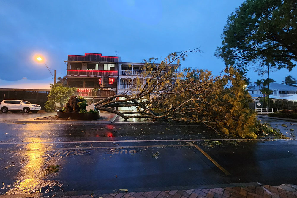 A large tree came down in Macrossan St, Port Douglas, one of dozens in the Port Douglas and Mossman areas. Picture: Gary ‘Gazza’ McIlroy