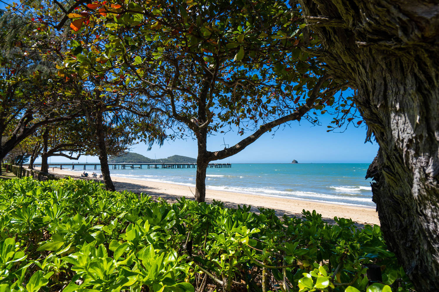 Plans to make Palm Cove the centre of energetic leisure activities have been revealed by Deputy Mayor Brett Olds. Picture: Tourism Tropical North Queensland