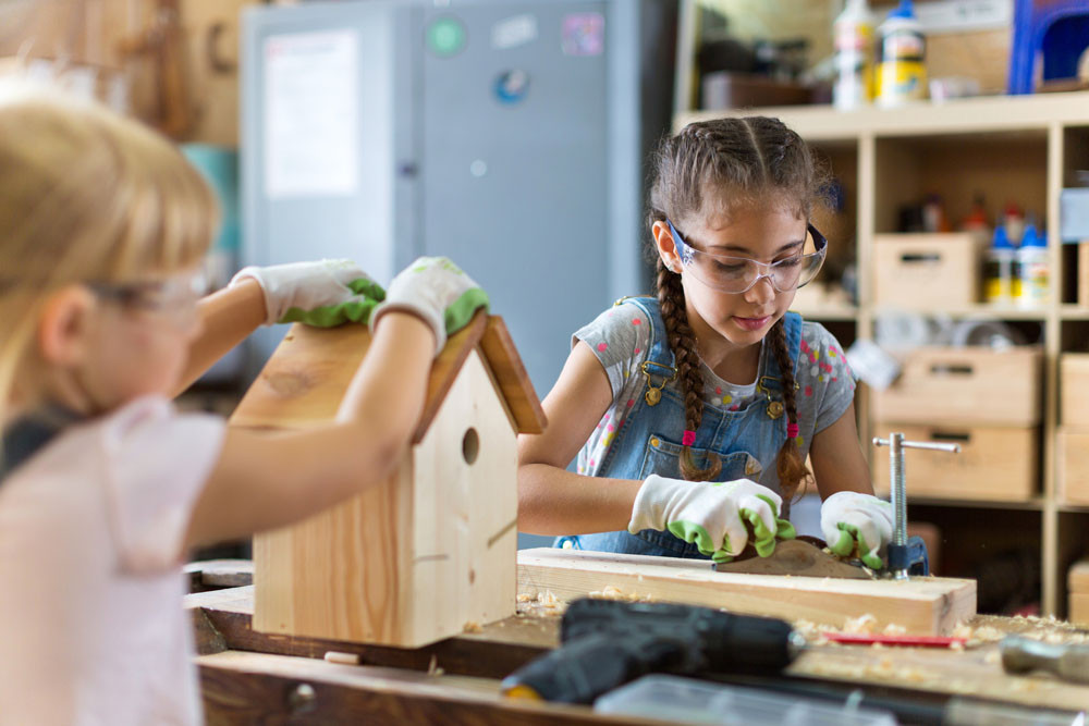 Children can learn to make timber bird boxes at Tully Library during the school holidays. Picture: Piksel/iStock