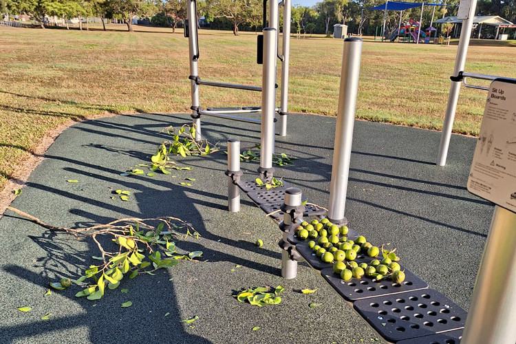 Park facilities left in a mess, with tree damage.