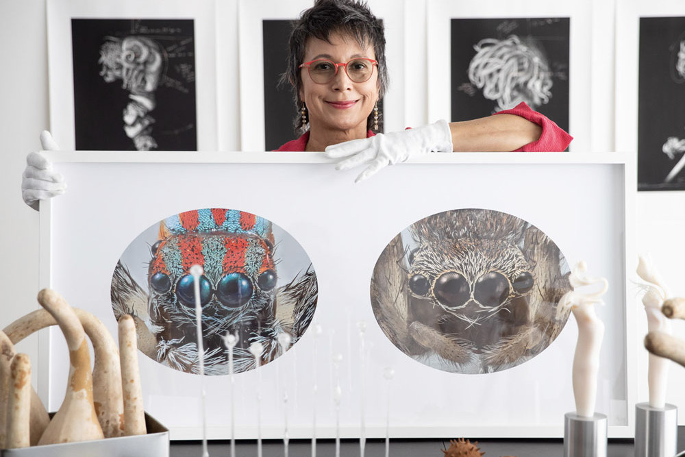 Featuring her incredible “Spiders of Paradise” exhibition, Artist Maria Fernanda Cardoso (pictured) is offering a walk-through presentation of her stunning photographic series and video on Saturday, October 12th. Picture: Daniel Boud