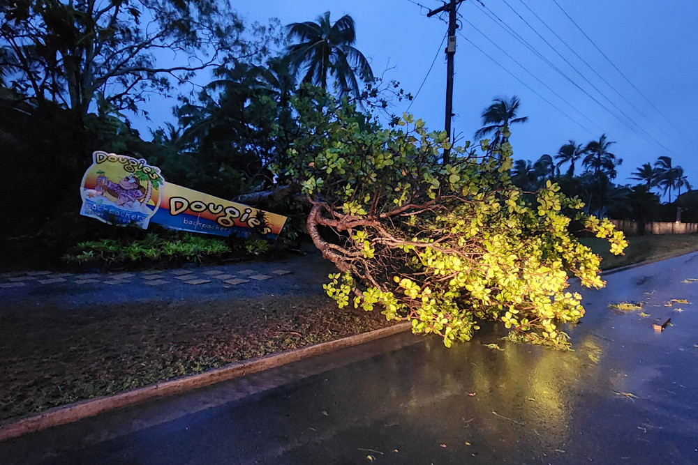 A range of memories of Cyclone Jasper and its aftermath. Main: Trees down in Port Douglas. Insets, above from left: Two flooded businesses in Front St, Mossman, road damage in South Mossman, a power pole down at Four Mile Beach and Jessica Alexandratos receives her certificate of appreciation from Douglas Shire Mayor Lisa Scomazzon. Pictures: Gary ‘Gazza’ McIlroy and supplied.