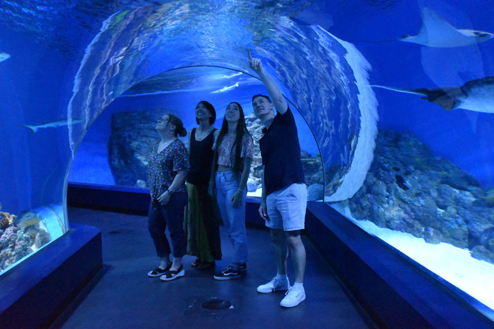 Cairns Aquarium staff members Rachelle Walton, Maiko Okamoto, Sharlee Correa and chief executive Daniel Leipnik explore the Night at the Aquarium experience. Picture: Isabella Guzman Gonzalez