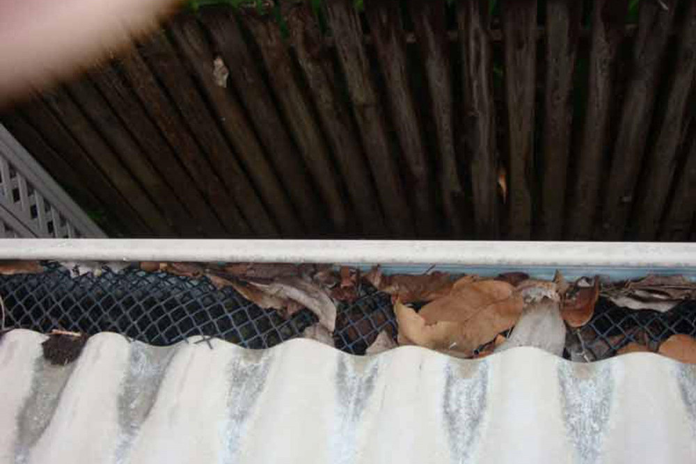 Leaf Debris Or Birds Nests Blocking Your Gutters?? Cairns Local News