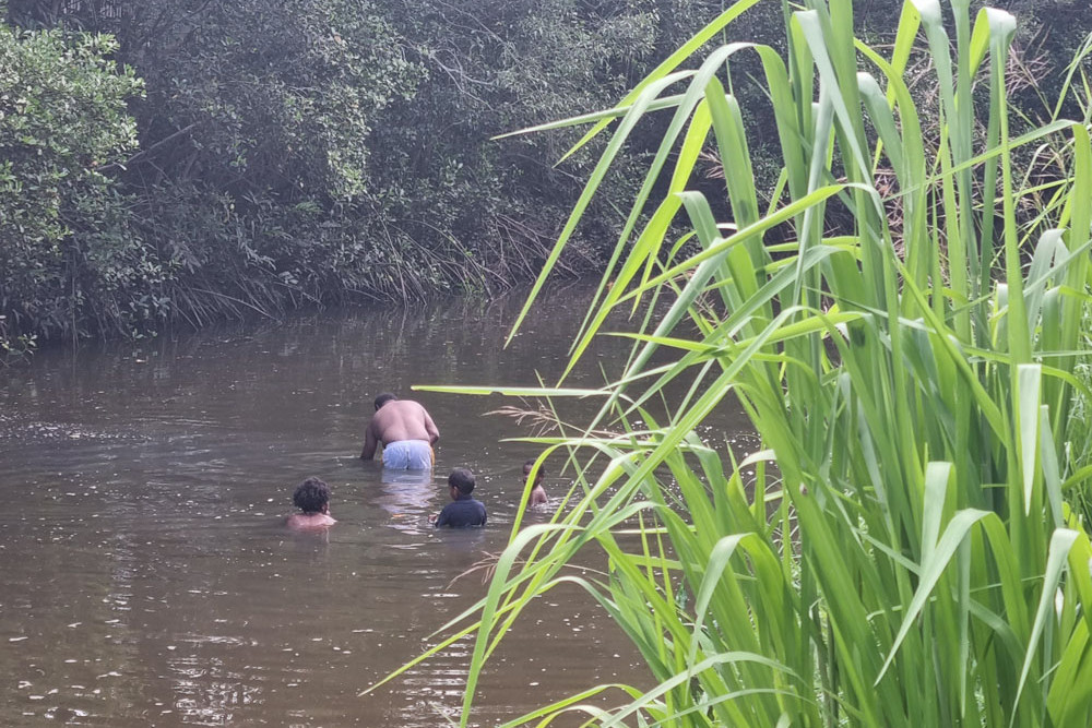 On Monday two adults and two small children were swimming in Saltwater Creek, where a 2m crocodile had been sighted.