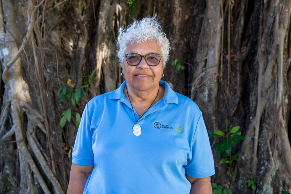 Rainforest Aboriginal people to have say on Wet Tropics - feature photo